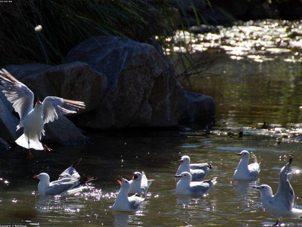 α±ααΆααααααΆααΈα ααααααααααααα·αααααΎααααΆααα±ααΆααααα»αααΈαα·α