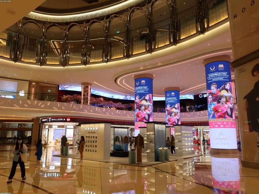 មេរៀនអំពីកាស៊ីណូ