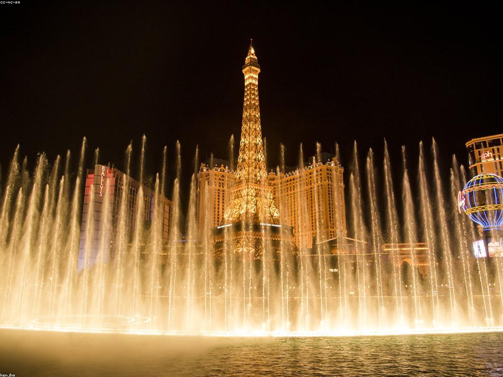 ប្រាក់កាបូបកាស៊ីណ្ដូ: ប្រភេទនិងវិធីប្រើប្រាស់