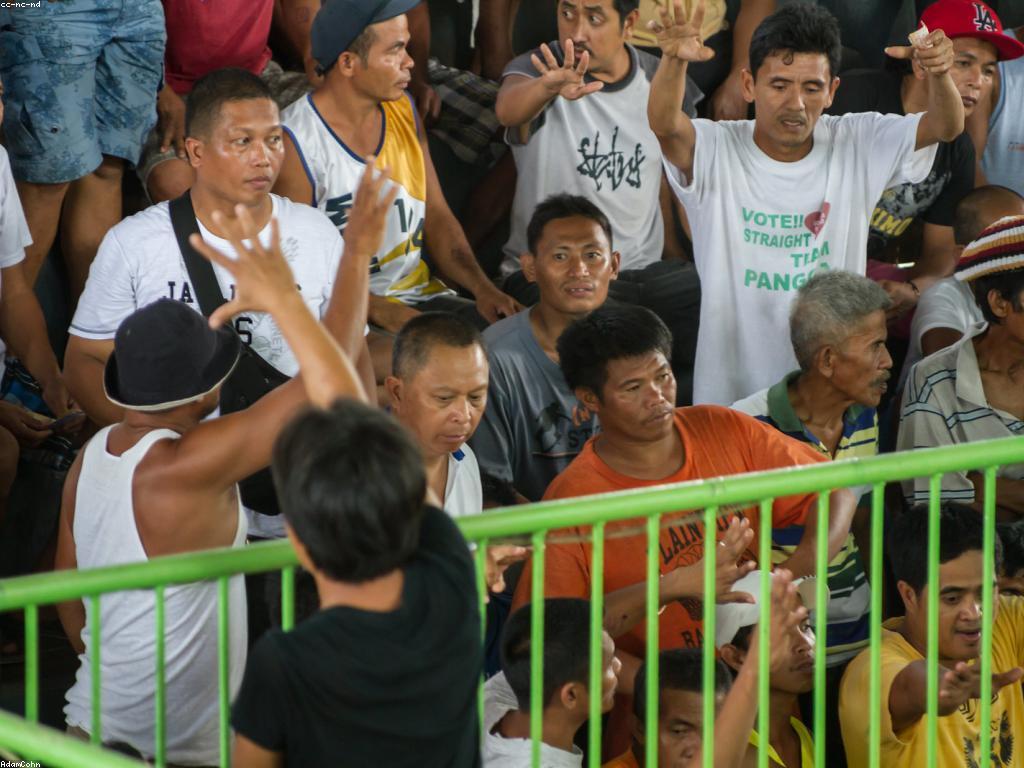 ប្រាក់កាបូបកាស៊ីណូ: របៀបអភិវឌ្ឍសមត្ថភាពនៃការប្រកួត