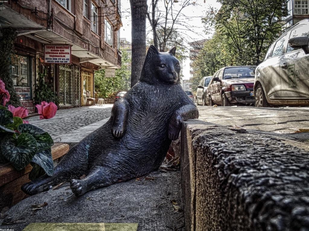 យុទ្ធសាស្ត្រសម្រាប់ការគ្រប់គ្រងប្រាក់កាបូបកាស៊ីណូ