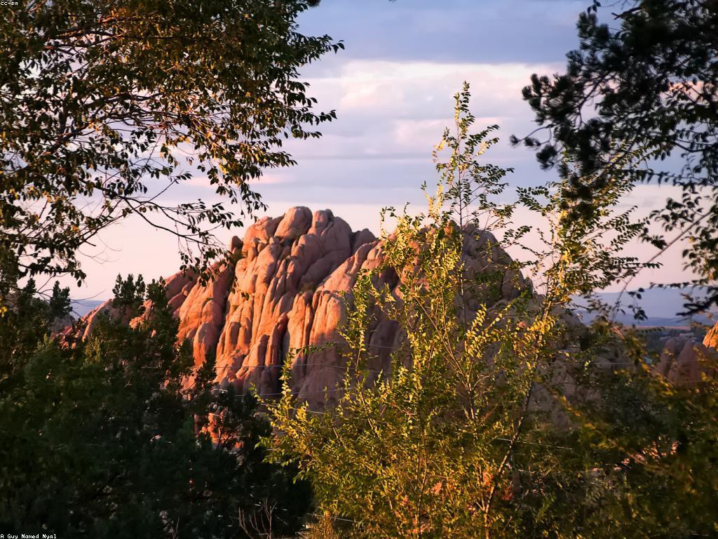 យុទ្ធសាស្ត្រដើម្បីពង្រីកប្រាក់កាបូបកាស៊ីណូ